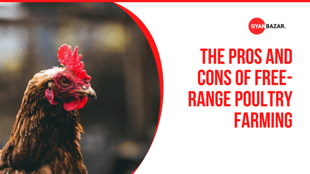 Poultry Farming Challenges