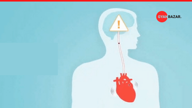 Atrial Fibrillation: Overview of this condition and how to reduce risk.
