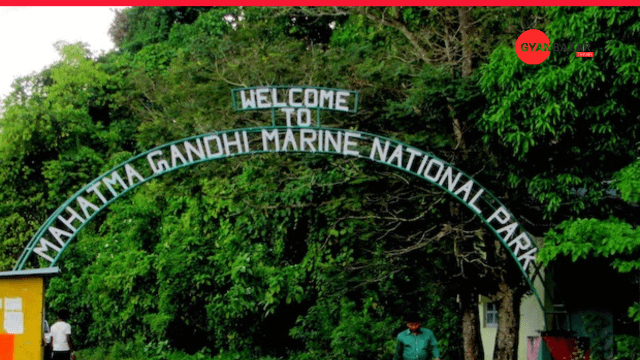 Immerse Yourself in the Natural Beauty of Mahatma Gandhi Marine National Park