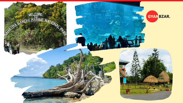 Amazing Wildlife Places to Visit in Andaman and Nicobar
