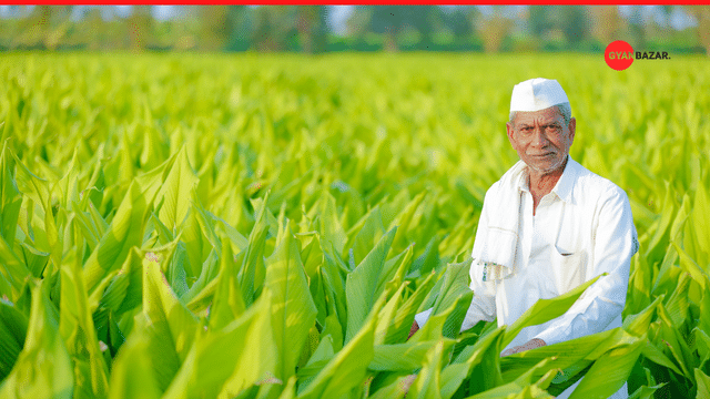 Boosting Agricultural Development in India: An Overview of Rashtriya Krishi Vikas Yojana