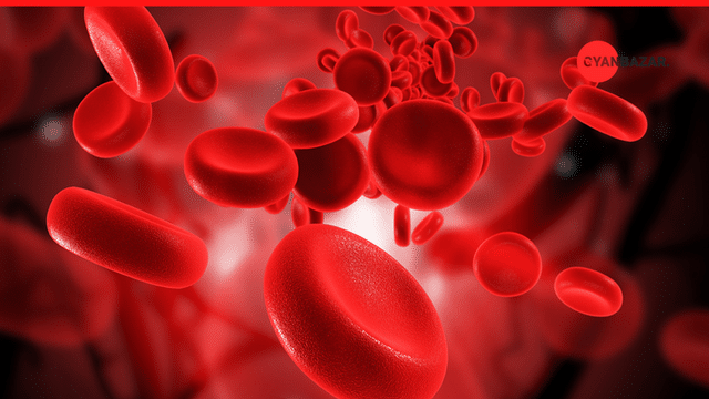 What are blood disorders and how are they diagnosed?
