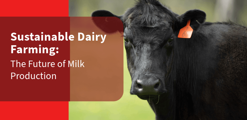 Sustainable Dairy Farming: The Future of Milk Production