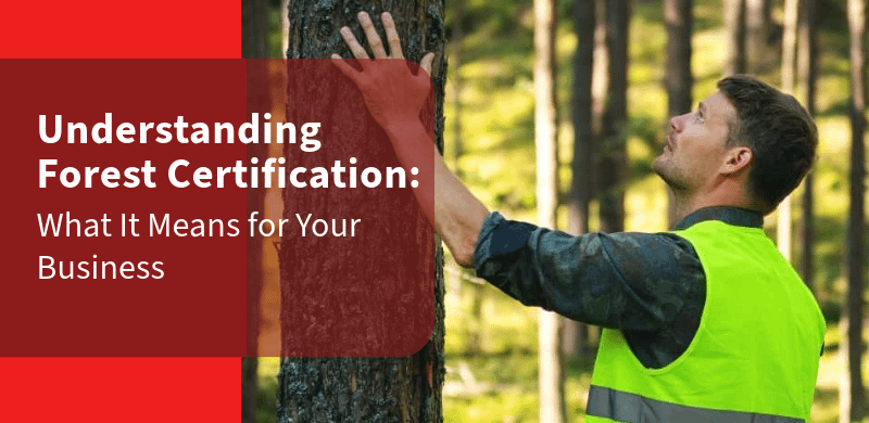 Understanding Forest Certification: What It Means for Your Business