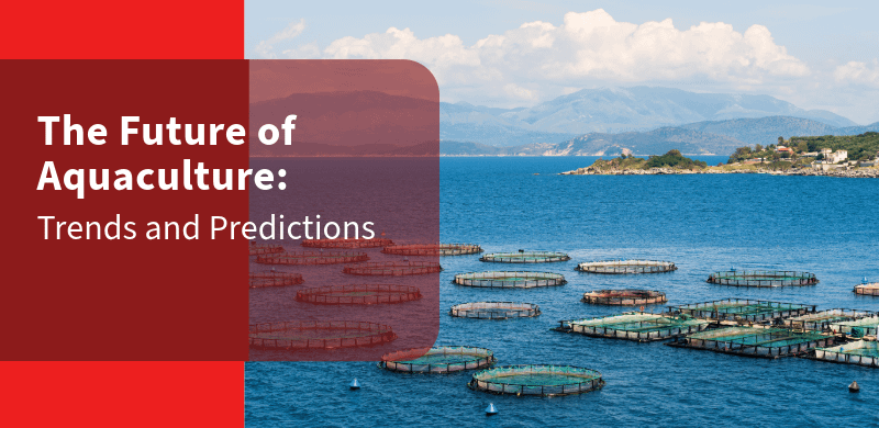 The Future of Aquaculture: Trends and Predictions