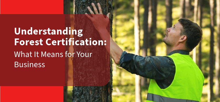 Understanding Forest Certification